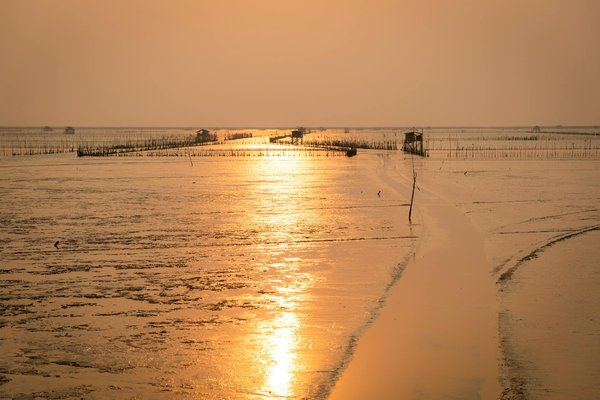 Croisières Écoresponsables en Grèce : Un Voyage Durable au Cœur de la Nature