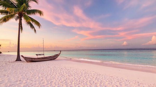 Top raisons de choisir les Maldives ou les Seychelles cet hiver